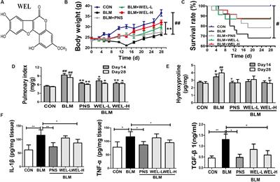 Wedelolactone Attenuates Pulmonary Fibrosis Partly Through Activating AMPK and Regulating Raf-MAPKs Signaling Pathway